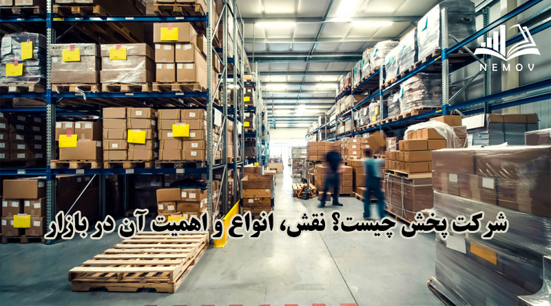 شرکت پخش چیست؟ نقش، انواع و اهمیت آن در بازار