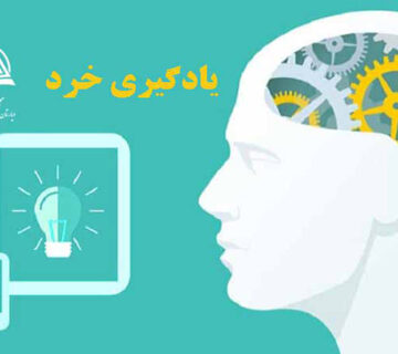يادگيري خرد